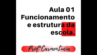 Funcionamento e estrutura da escola [upl. by Shulock604]