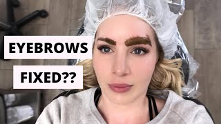 EYEBROW TATTOO VLOG UPDATE  Part 2 [upl. by Semajwerdna641]