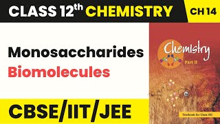 Class 12 Chemistry Chapter 14  Monosaccharides  Biomolecules 202223 [upl. by Ahsienak]