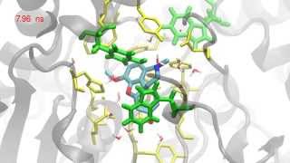 Crystal Structure of Recombinant Human Acetylcholinesterase in Complex with Galantamine [upl. by Jordans868]