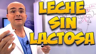 LECHE SIN LACTOSA ¿Qué es ¿Quién la debe tomar  Enciclopedia de los Alimentos 09 [upl. by Jorge]