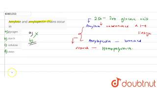 Amylose and amylopectin chains occur in [upl. by Nnaecyoj849]