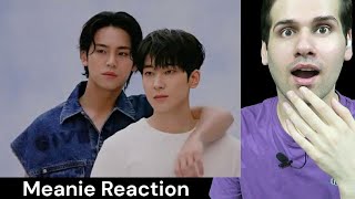 MinwonMeanie Moments That Every Carats Must Watch Mingyu amp Wonwoo  Seventeen Reaction [upl. by Erline801]