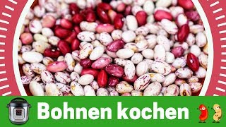 Bohnen kochen  ganz einfach im Instant Pot [upl. by Ylagam]