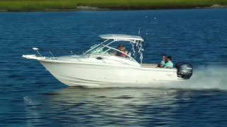 Scout Boats 245 Abaco Series [upl. by Rondi]