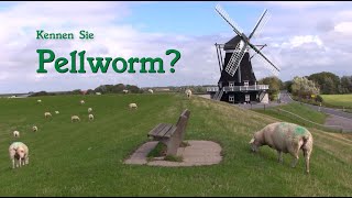 Pellworm eine kleine nordfriesische Insel im Wattenmeer 2020 [upl. by Nyllij]