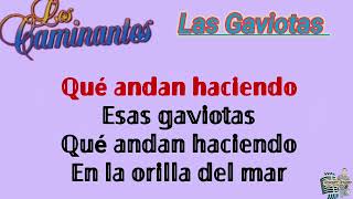 Pista Karaoke quotLas Gaviotasquot Los Caminantes [upl. by Heigho]