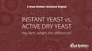 Instant Yeast vs Active Dry Yeast [upl. by Glori588]