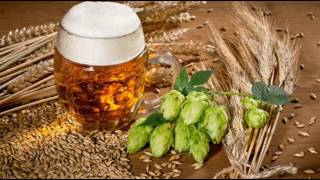 23rd April 1516 The Reinheitsgebot beer purity law first introduced in Bavaria [upl. by Davenport]