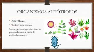 Nutrición autótrofa y heterótrofa [upl. by Gatias]