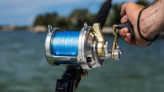 Best Saltwater Reel Combo [upl. by Anilef110]