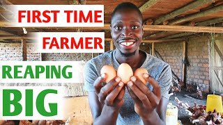 How I Started a Poultry Farm With Little Money and No Experience  My Success Story [upl. by Emlyn227]