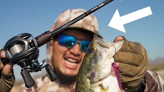 Spinning Rod Killer The Brand New Daiwa Steez AGS Finesse Game Special [upl. by Amarillis729]