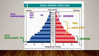 População brasileira  análise das pirâmides etárias do Brasil [upl. by Brooking]