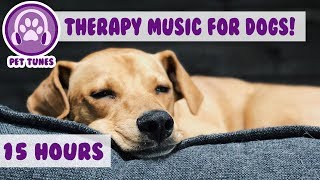 How to Relax my Dog in my House New Calming Music Has Helped Over 4 Million Pets  Pet Therapy [upl. by Holmann748]