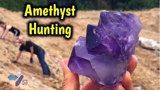 Finding Large Amethyst Crystals Digging Jackson’s Crossroads  Public Mine  JXR [upl. by Aidua889]