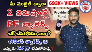 How To Check PF Balance Online In Telugu  Umang App Details  Check Your EPF Balance In 2 Minutes [upl. by Eerpud]