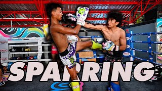 Yokkao muaythai sparring Songpayak Vs Thonsai fight [upl. by Cunningham215]