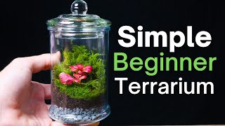 How To Make a Terrarium  An Easy Beginner Guide [upl. by Colwell]