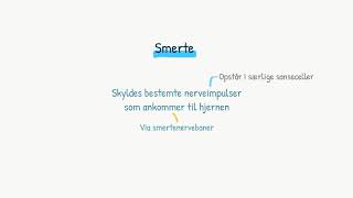 Nervesystemet Smerter [upl. by Elliott]