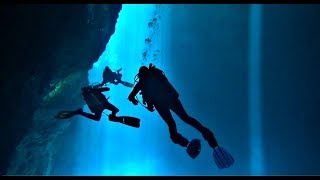 Diving Mexicos Cenotes  Yukatan  Playa del Carmen  Planet Tauchen [upl. by Uhayile]