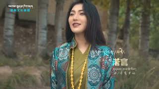 New Tibetan song 2022 ࿉ བོད་གཞས་་གསར་པ་༢༠༢༢༼དམ་ཚིག་མདུད་པའི་མེ་ཏོག།༽གཞས་པ། ཁ་བ་ཚེ་རིང། ࿉KhawaTsering [upl. by Sherborne]