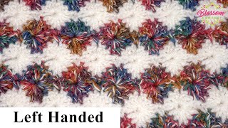 Left Handed Simple Crochet  Harlequin Stitch  Blossom Crochet Tutorial [upl. by Aley]