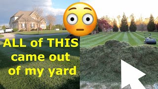 How to Dethatch a Lawn a Different Way [upl. by Aivartal242]