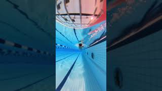 Proper boday rotation is key for a good freestyle swim more info in comments swimtechnique [upl. by Septima]