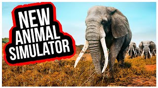 NEW Animal Simulator I Played as a LION and ate an ELEPHANT  Animalia Survival Gameplay [upl. by Asilrak]