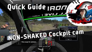 RBR Quick Guide  How to set a Static Cockpit cam quickly [upl. by Wadlinger]