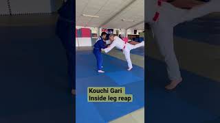 KOUCHIGARI JUDO Advancing 小内刈 Inside leg reap [upl. by Eelano]