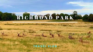 Richmond Park London  Staying Local [upl. by Aenil]