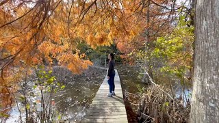 Brown Trail  Patuxent River Park Maryland [upl. by Christabella]