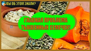 Главная проблема тыквенных семечек [upl. by Lalage]