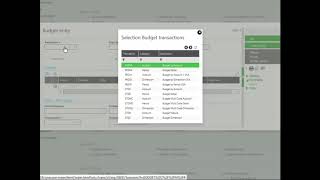 Sage X3  Analytical Budget Entry [upl. by Lesnah555]