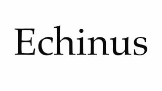 How to Pronounce Echinus [upl. by Ayenat]