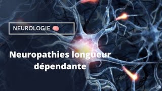 🧠 Neuropathies longueur dépendante [upl. by Eoj]