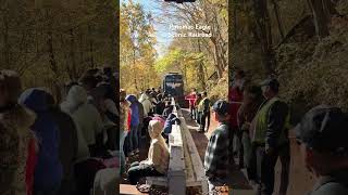 Potomac Eagle Scenic Railroad westvirginia fallvibes fyp 2024 fun shorts travel [upl. by Adna]