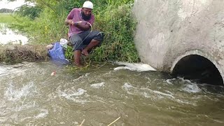 Amazing Fishing Abdul Sami fishingUnique Fishing videoAwesome Fish catchingVillage Fishing [upl. by Settera]