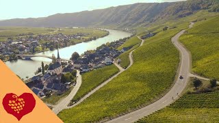 Piesport an der Mosel [upl. by Nawd565]