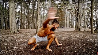 5 Primal Movements you NEED to do [upl. by Ysnap]