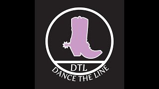 Learn How To Line Dance Beginners Steps Side Together Side Touch and Charleston Kick [upl. by Saxe178]