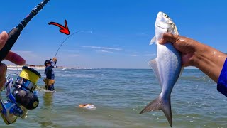 Wade Fishing The Surf Goes WRONG Catch amp Cook [upl. by Jennings]