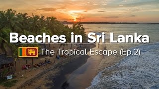 10 Best Beaches in Sri Lanka  EastSouthWest Coast Tropical Escape 2 [upl. by Rochette]