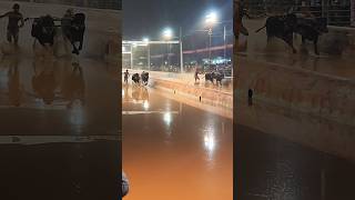 ಕಂಬಳ Moodabidri Kambala Kambala kambula [upl. by Blank513]