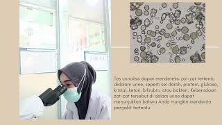 urinalysis urinetest urinalisa [upl. by Merline504]