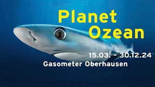 quotPlanet Ozeanquot Ausstellungstrailer [upl. by Sairu]