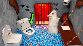 🐹 Hamster Escapes the DIY Maze for Pets in real life 🐹 in Hamster Stories [upl. by Aisats907]