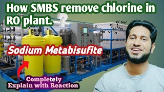 How SMBS remove chlorine in RO plant  Sodium Metabisufite dosing in RO plant [upl. by Ydieh]